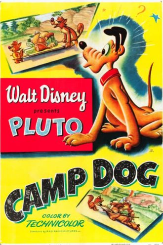 Camp Dog