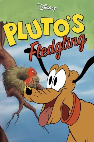 Pluto’s Fledgling